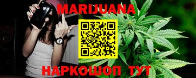молекула духа Партизанск