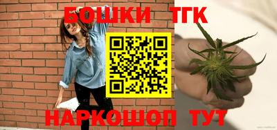 МДПВ Пенза